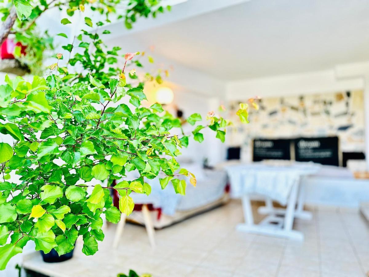Elia Woodstone Houses エクステリア 写真